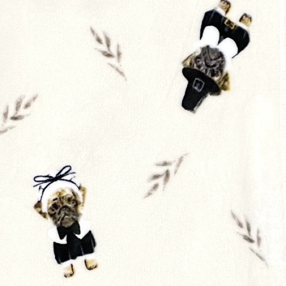 OVERSIZED Plush Throw Blanket ◈ PUG Pilgrim - Picture 2 of 5